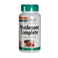 Solaray Mushroom Complete, 1175mg, 60VCaps