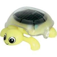 Solar turtle 43000 Sol Expert