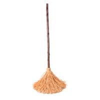 Sound Activated Walking Broom