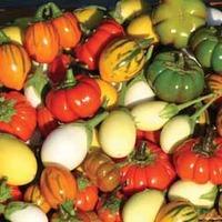 solanum deco fruits mixed 1 packet 15 solanum seeds