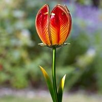 Solar Powered Tulip Stake Light - 2 Pack