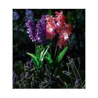 solar hyacinth stake light set