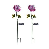 Solar Daisy Lights (2 - Save £5.00)