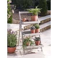 somerton plant stand