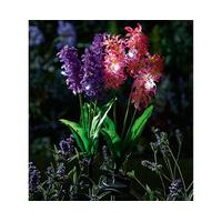 solar hyacinth stake light set plastic