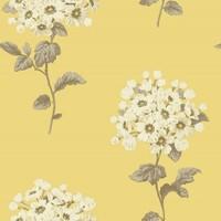 Sophie Conran Wallpapers Pom Pom, 664502