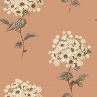 sophie conran wallpapers pom pom 664500