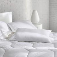 Soft Comfort Pillow with Dust Mite Protection