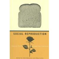 social reproduction feminist political economy challenges neo liberali ...