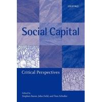 social capital critical perspectives