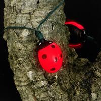 Solar Ladybirds