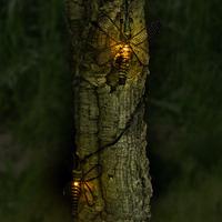 Solar Metal Dragonfly Lights