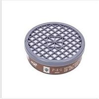 South Core P-A-1 Long-Acting Fil...