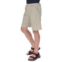 Sorcer Shorts Fossil