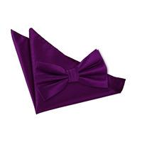 solid check cadbury purple bow tie 2 pc set