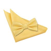 Solid Check Sunflower Gold Bow Tie 2 pc. Set