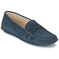 So Size MOZARD women\'s Loafers / Casual Shoes in blue