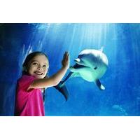 Special Offer ! SeaWorld® San Diego