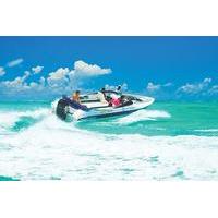 speedboat excursion to grand river south east waterfall and ile aux ce ...