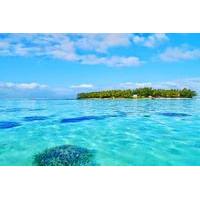 speedboat tour of ile aux cerfs including snorkelling in blue bay and  ...