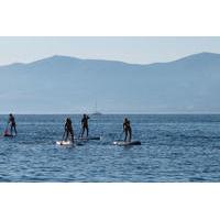 Split Stand Up Paddleboarding Tour