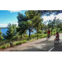 Split Bike Tour: City Highlights by Standard or Electric Bike