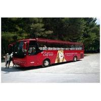 split sightseeing tour by bus