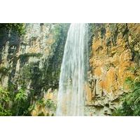springbrook national park hiking tour including purling brook falls fr ...