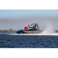 Spectacular Scenic Safari Airboat Adventure from Homosassa