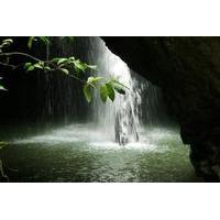 springbrook national park hiking tour including natural bridge from th ...
