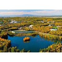 SpringHill Suites Anchorage University Lake