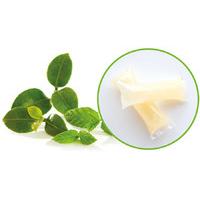 Splosh Hand Wash Gel Concentrate Refills x 8 - Mint & Green Tea - 136ml