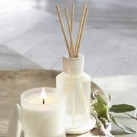 Spa Relax Diffuser