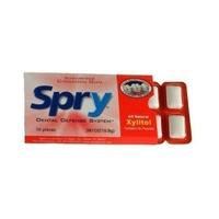 Spry Cinnamon Xylitol Gum 10pieces (1 x 10pieces)