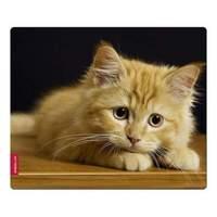 Speedlink Silk Mousepad Kitten (sl-6242-cat)