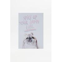 spice up your life card assorted