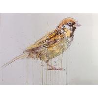 Sparrow By Dave White