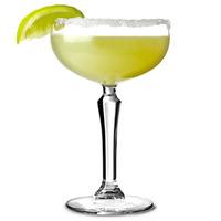 Speakeasy Cocktail Coupes 8.6oz / 245ml (Case of 12)