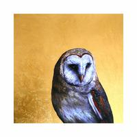 Spirit of the Night By Louise McNaught