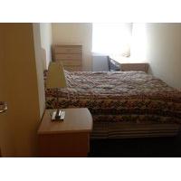 Spacious double Room To Let