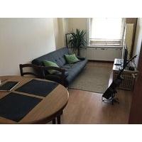 Spacious Room for professional near Boxpark and Brick Lane