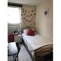 Spacious Single room in a friendly Flat