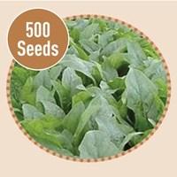 Spinach Fuji 500 Seeds