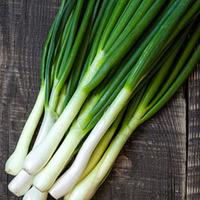 Spring Onion \'Winter Hardy\' (Seeds) - 1 packet (500 spring onion seeds)