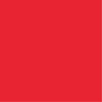 Speedball Fabric Screen Printing Inks 946 ml - Red