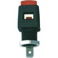 Spring-loaded mounting terminal ...