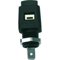 Spring-loaded mounting terminal Black 16 A Sch&Atilde;&frac14;tzinger 1 pc(s)