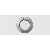Split lock ring Inside diameter: 6.1 mm M6 DIN 127 Stainless steel A2 100 pc(s) SWG 447667