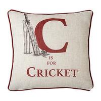 Sports Cushion