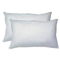 Spundown Pillows (2 - SAVE £10), Synthetic